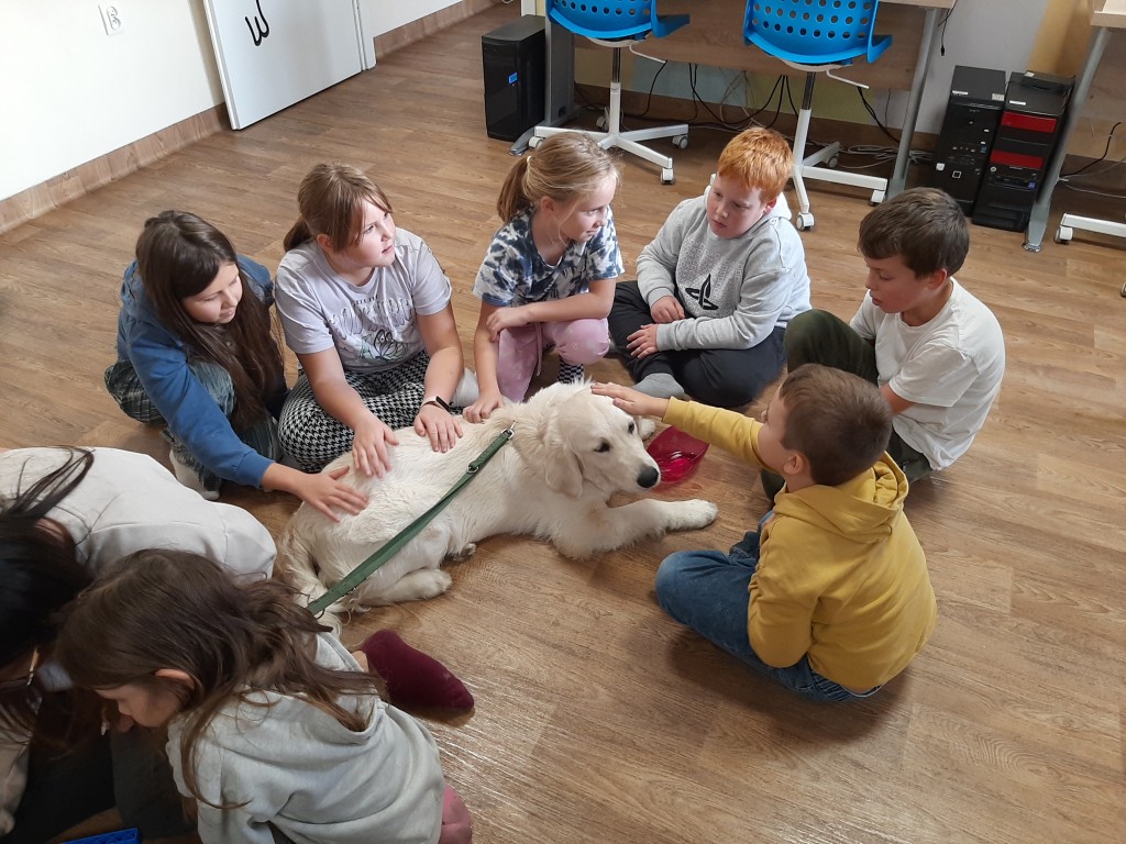 Nawiązywanie więzi z pieskiem golden retriever